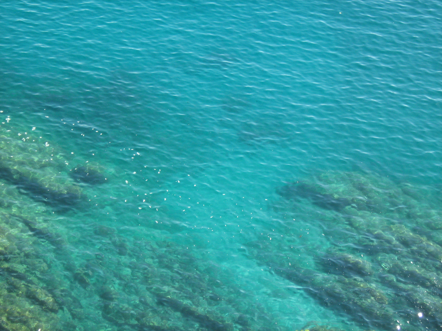 Affacciandoti passo passo nella Liguria vedi un mare che...