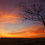 Affascinato da quel cielo rosso... (Fascinated by that red sky...)