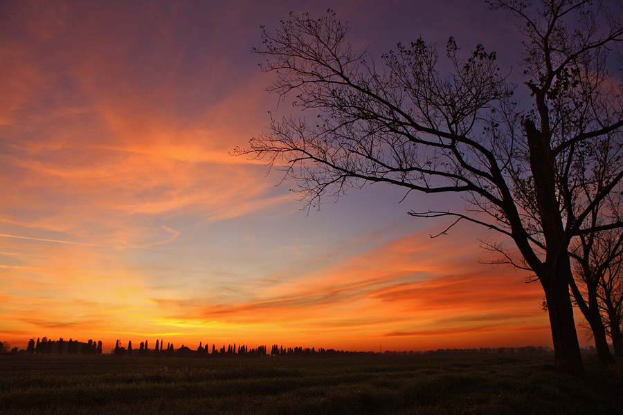 Affascinato da quel cielo rosso... (Fascinated by that red sky...)