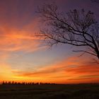 Affascinato da quel cielo rosso... (Fascinated by that red sky...)