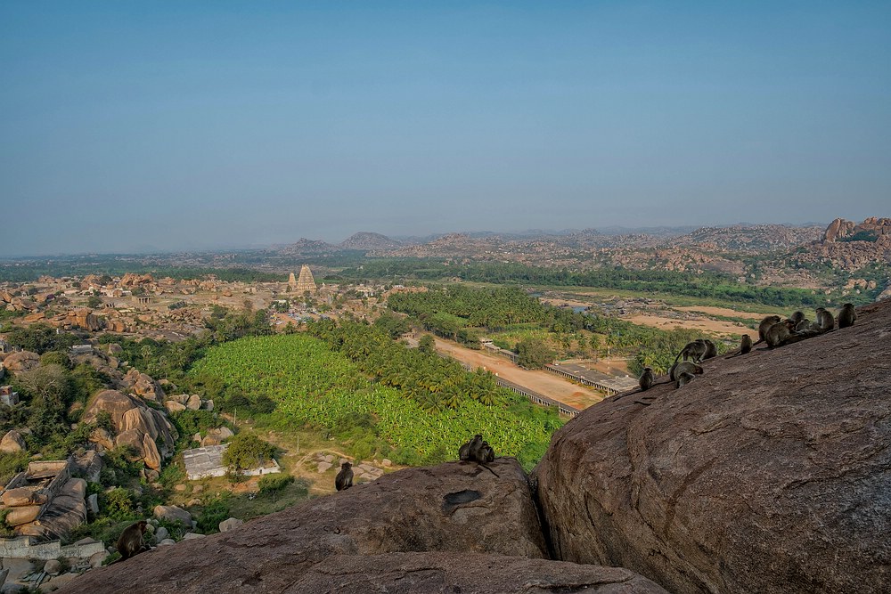 (Affen) Blick auf Hampi Bazaar