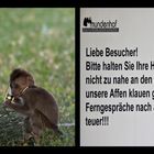 Affen-Ferngespräche ??