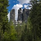 Affenfelsen - ein Naturerlebnis