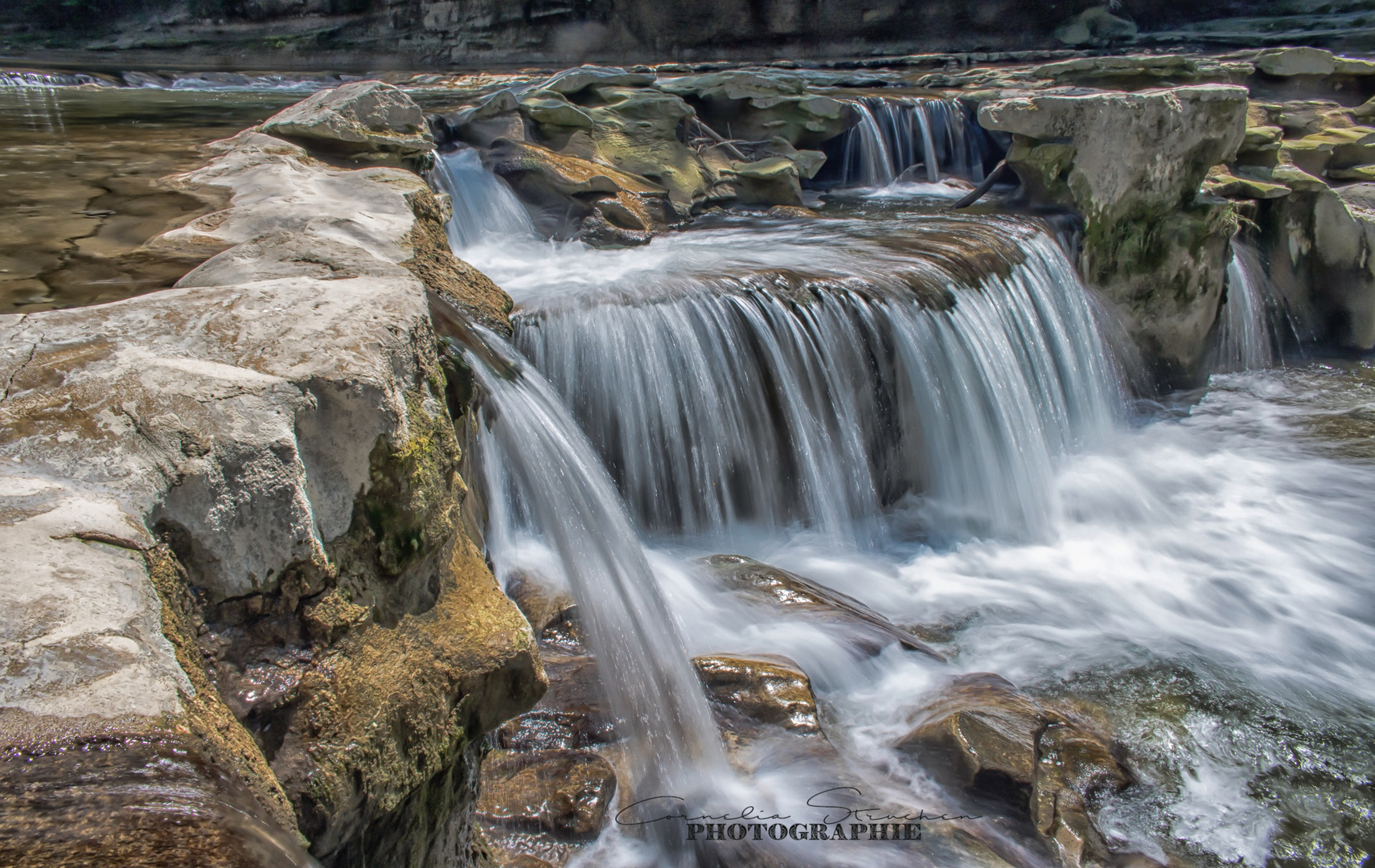 Affenschlucht in Winterthur