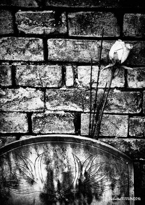 Affetti Dimenticati - 11