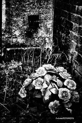 Affetti Dimenticati - 12