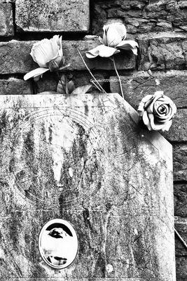 Affetti Dimenticati - 4