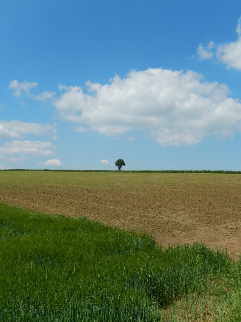 Affing Foto & Bild jahreszeiten, frühling, natur Bilder auf