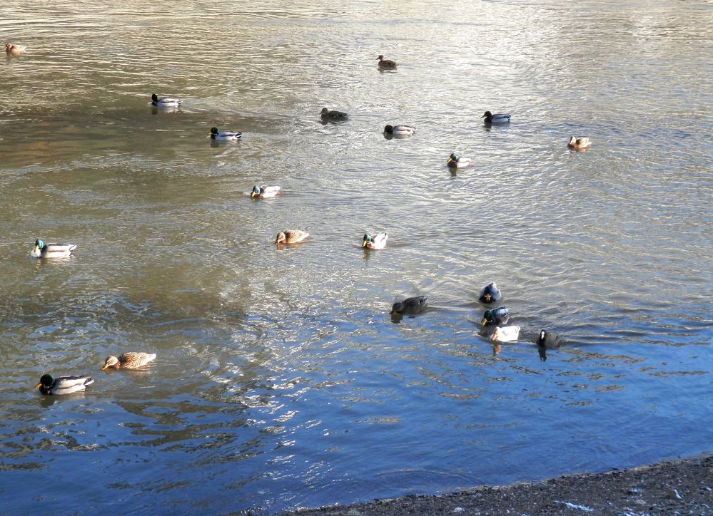 Affluence sur la Lahn