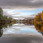 Affric