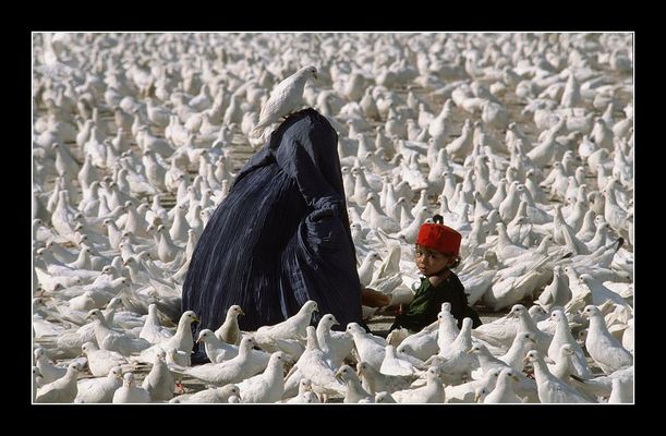 AFGHANISTAN 1986 (RE-LOAD)