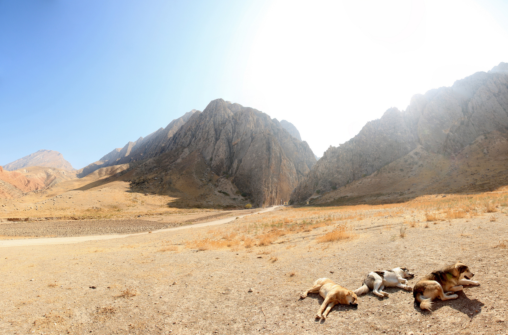 Afghanistan Panorama II