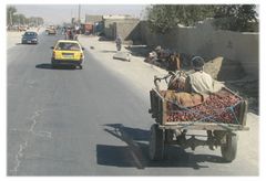 Afghanistan XVI, Gemüsehändler