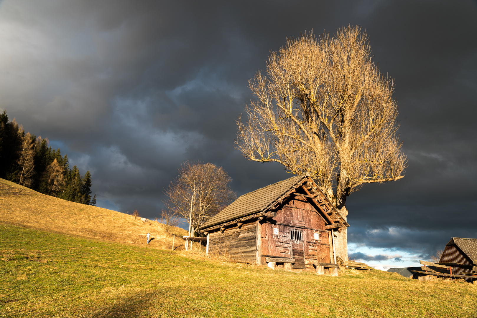 Aflenzer Bürgeralm