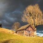 Aflenzer Bürgeralm