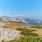 Aflenzer Bürgeralm - Hochsteiermark