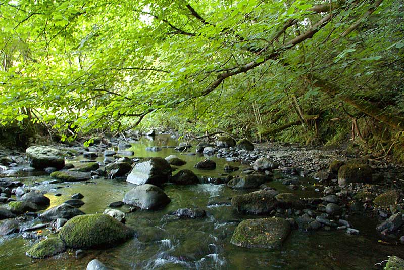 Afon Dogclwyd