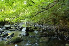 Afon Dogclwyd