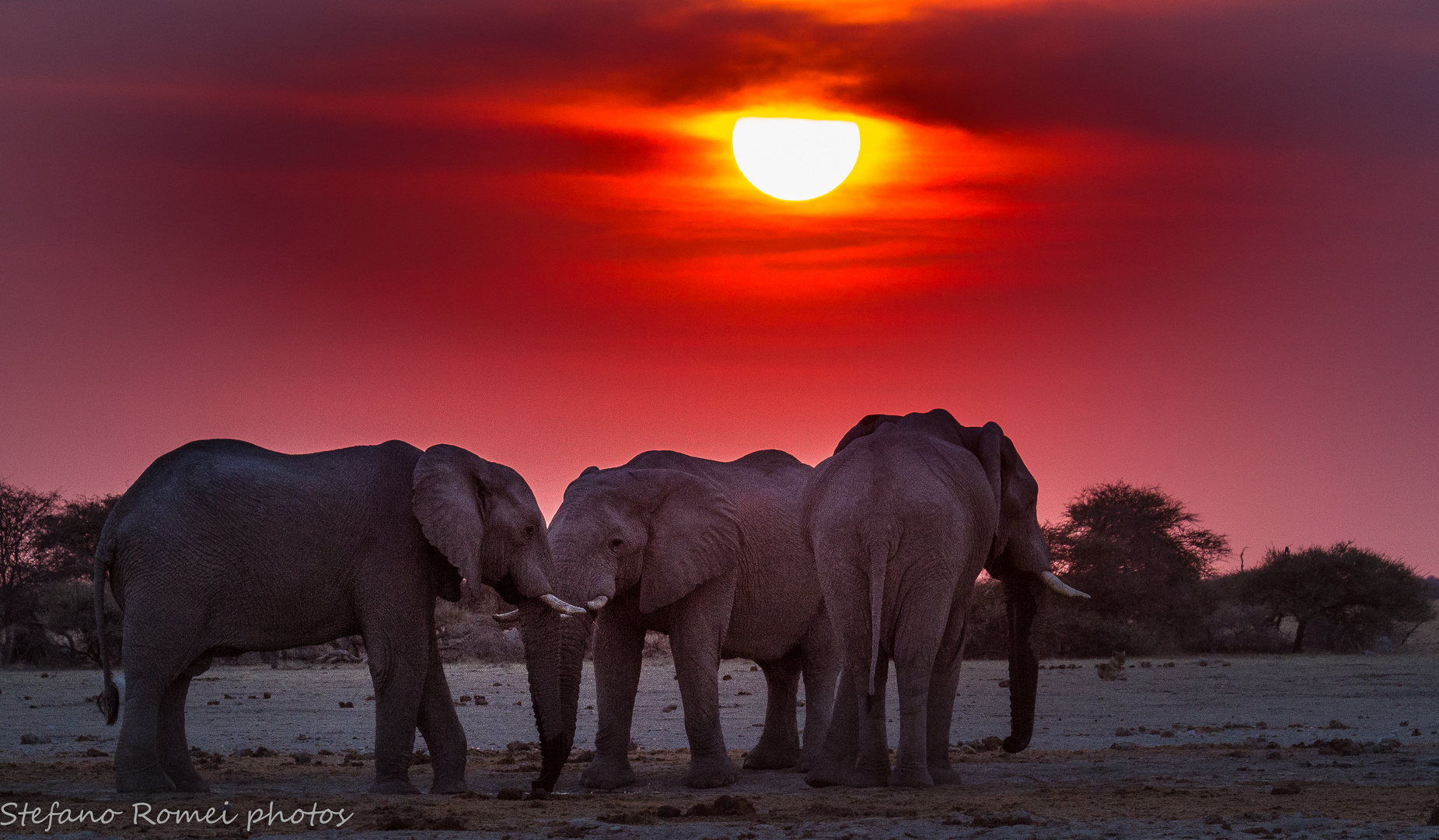 "africa al tramonto? afrika bei Sonnenuntergang? "