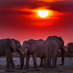 "africa al tramonto? afrika bei Sonnenuntergang? "