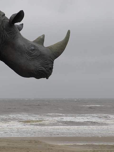 African Beach (Safari an der Nordsee)