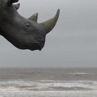 African Beach (Safari an der Nordsee)