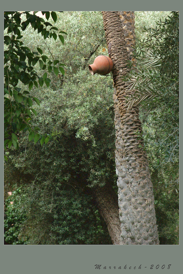 African bird-house