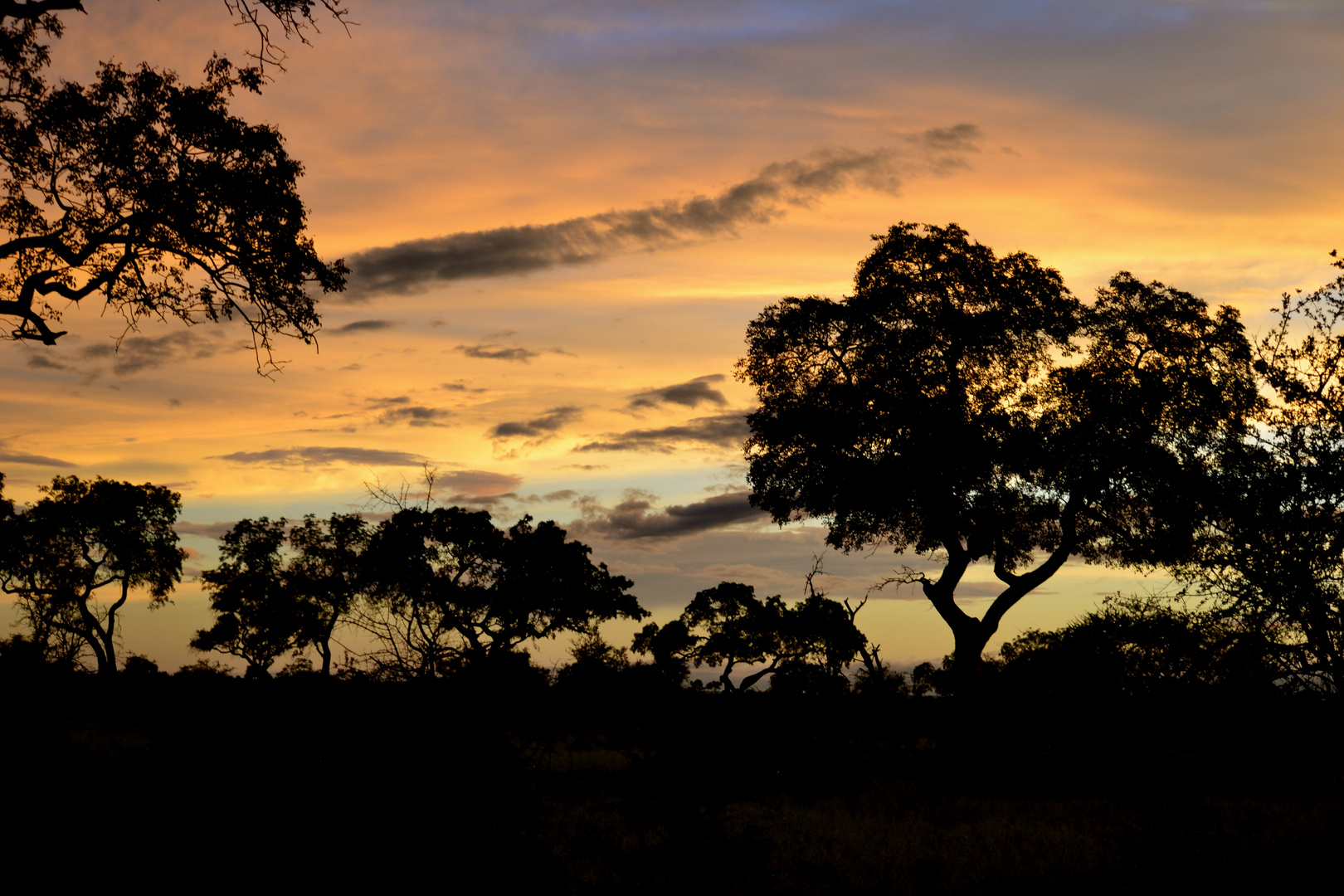 African Colours