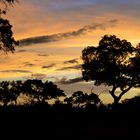 African Colours