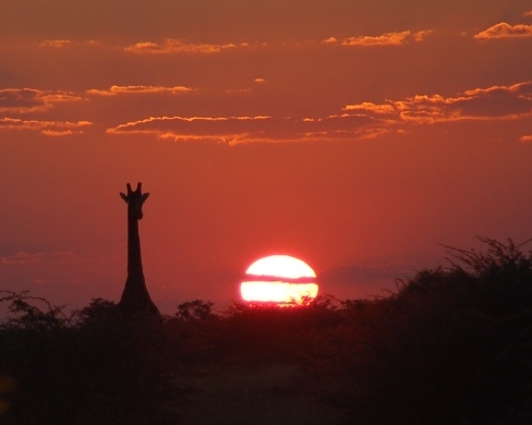 African evening