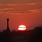 African evening