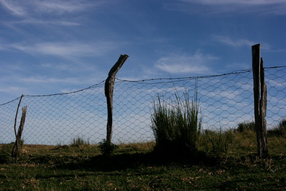 African Fence