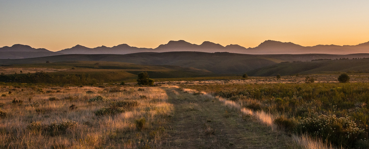 African Landscape