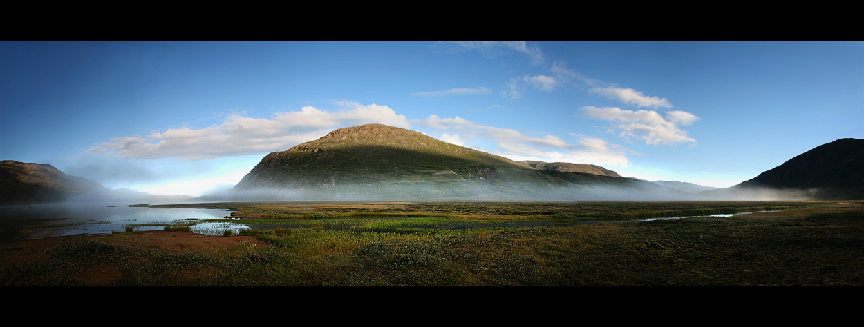 African Morning