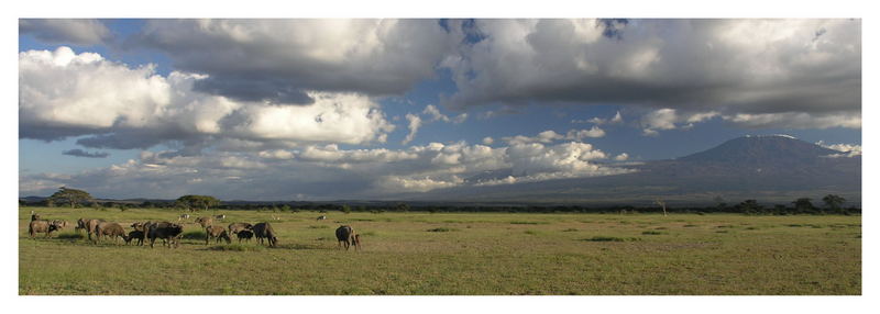 African Scenery