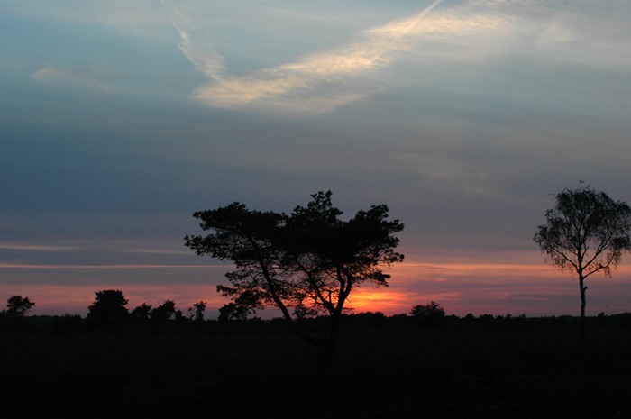 "African Skies" in the Netherlands