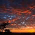 African Sky