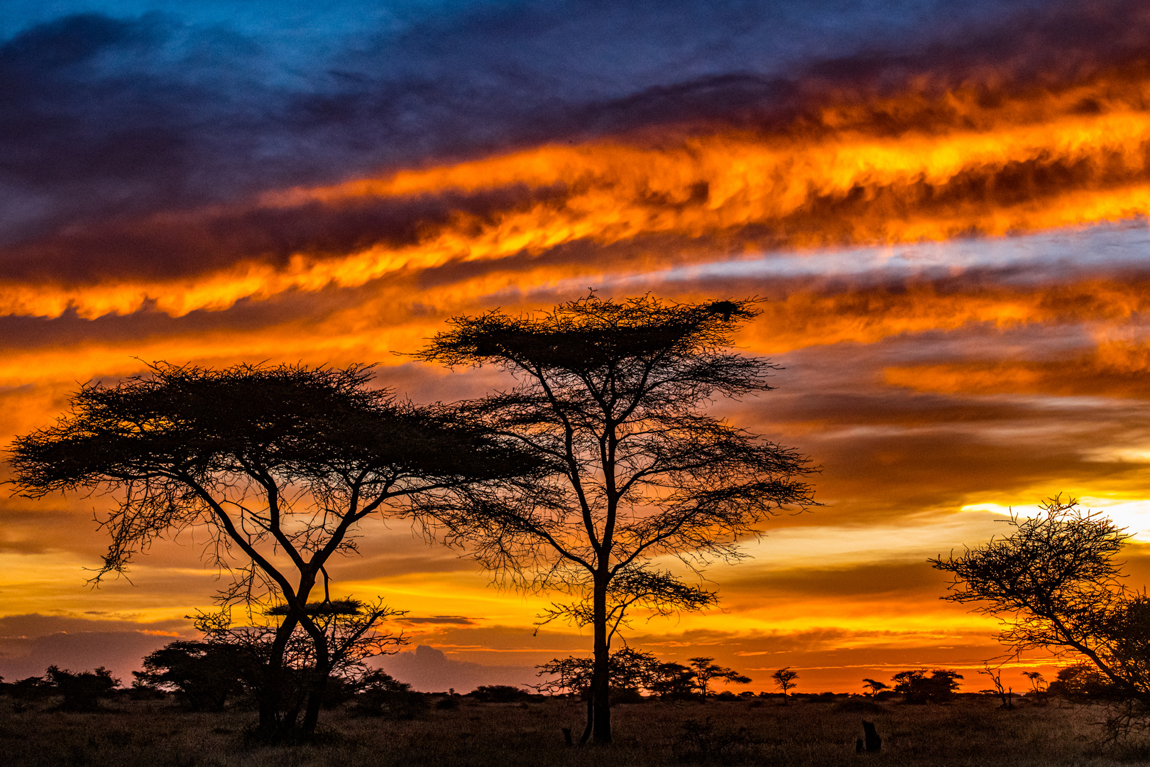 African Sky