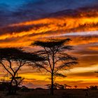 African Sky