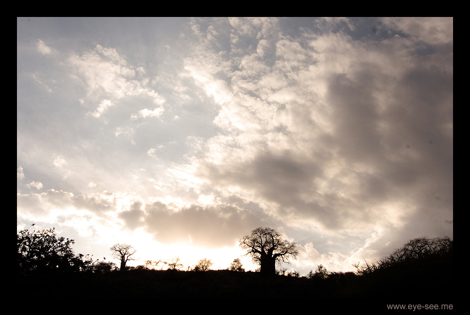 African Skyline