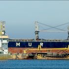 AFRICAN STARLING, Bulk Carrier, Rotterdam.