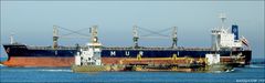 AFRICAN STARLING, Bulk Carrier, Rotterdam.