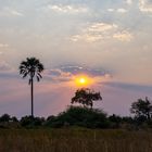 African Sundown