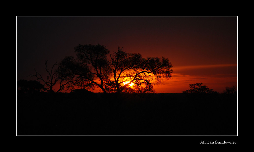 African Sundown