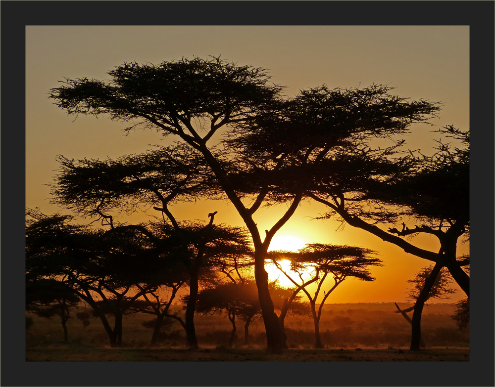 African Sundown