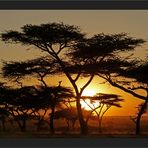 African Sundown