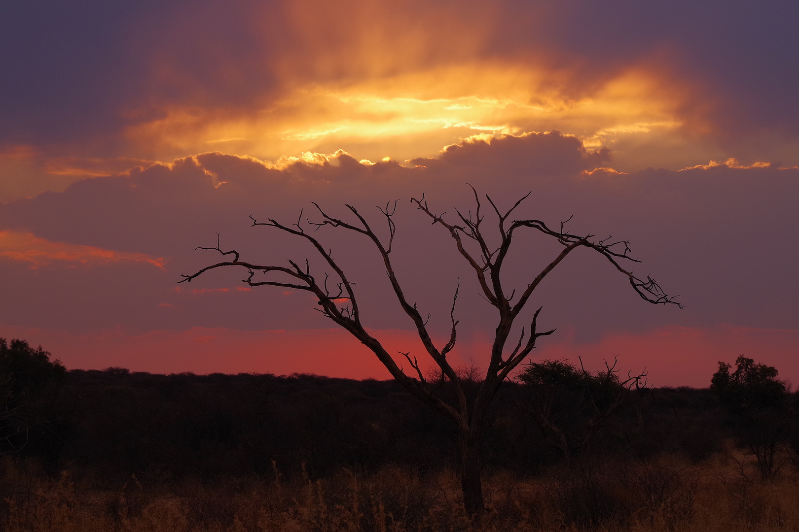 african sundown 