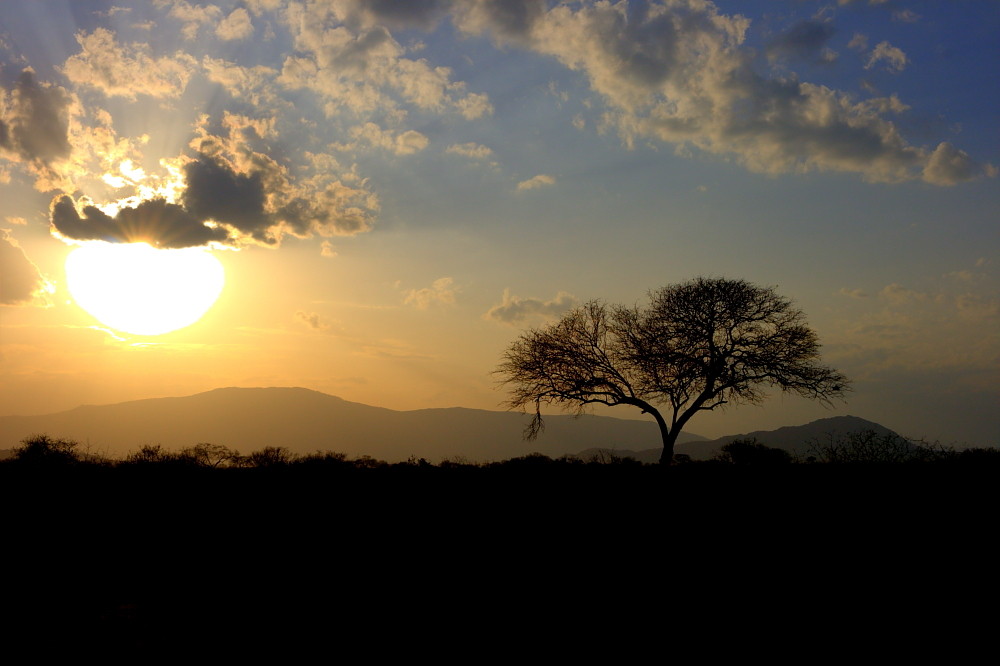 African Sundown