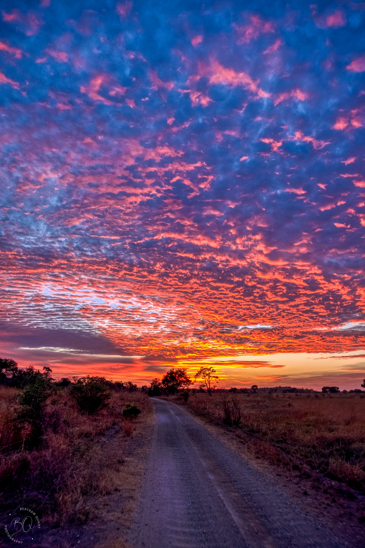 African Sunrise