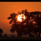 African Sunset